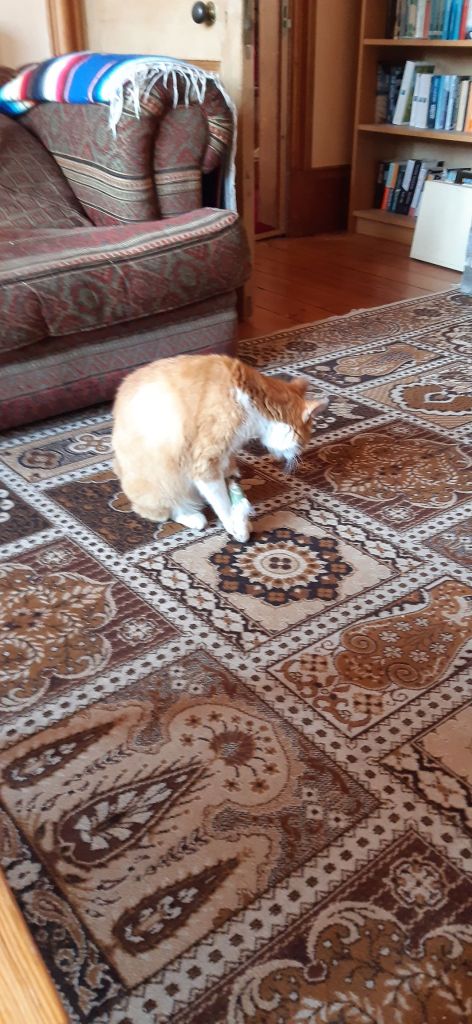 The current image has no alternative text. The file name is: 20250306_0955078709669913744846323.jpg